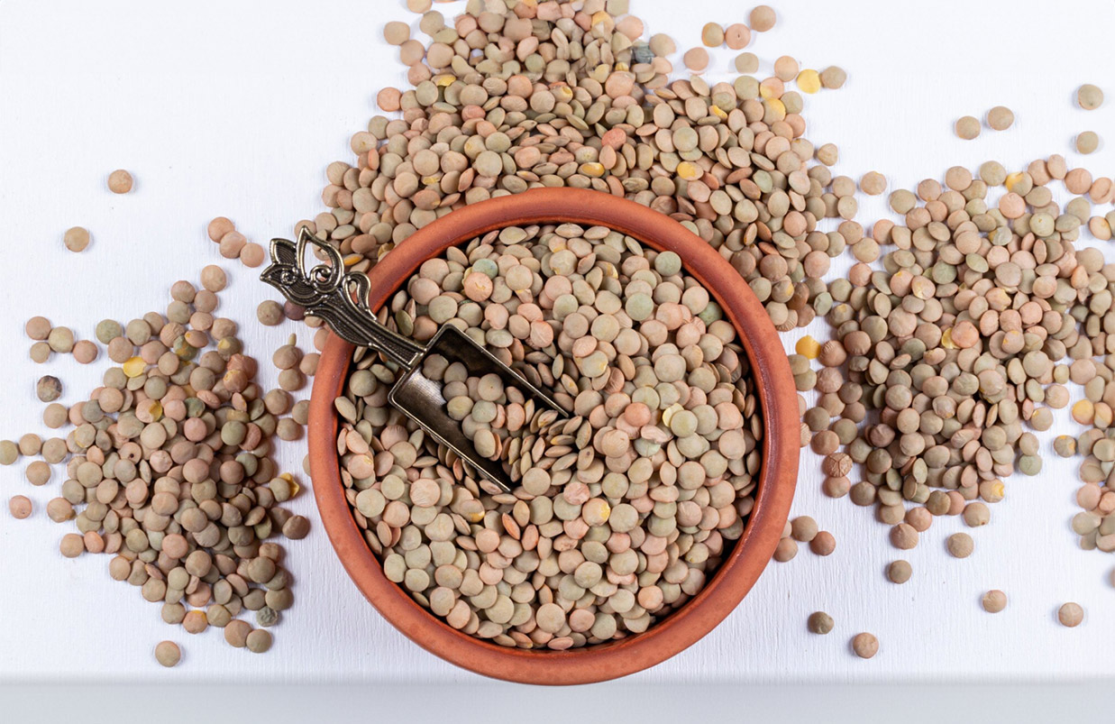 Come cucinare le lenticchie - Bonduelle