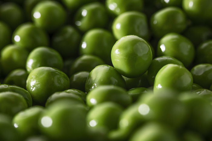 Guisantes finos y tiernos, sin azúcares añadidos