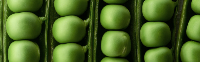Vos boîtes de conserve sont-elles recyclables?