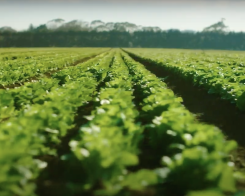 Politica ambientale Bonduelle Italia