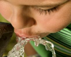 Вода – обов’язковий елемент здорового раціону