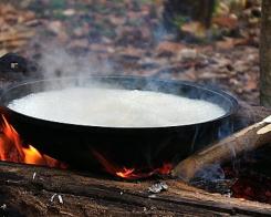 Здорове харчування на природі