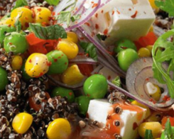 Batch Cooking - Rezepte ganz nach eurem Geschmack