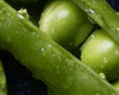 C'est quoi un légume vert ? 