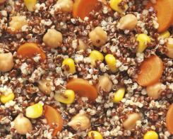 Cereali senza glutine: cibi ammessi e vietati
