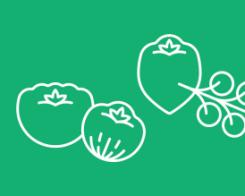 8 truques para cultivar tomates com sucesso