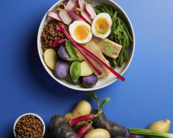 Insalata con lenticchie