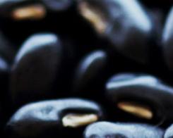 5 interessante Fakten über schwarze Bohnen!