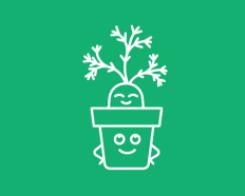Une plante décorative à partir d'une carotte ?