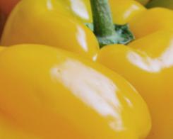 Vitamin C: Die Gemüsesorten mit dem  höchsten Gehalt 