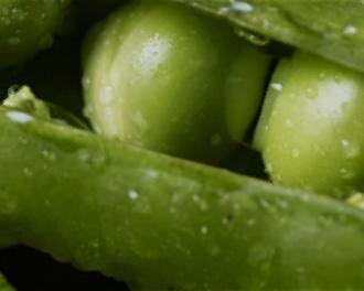 Cuisiner les épluchures