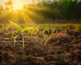Agricultura regenerativa, más allá de la superficie