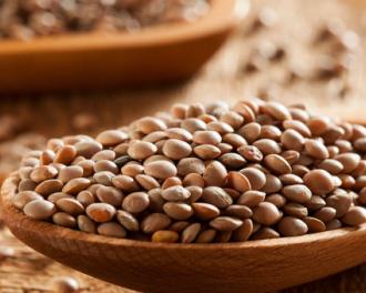 Lentejas en la Mesa: Sabores Reconfortantes a Través de Diversas Recetas