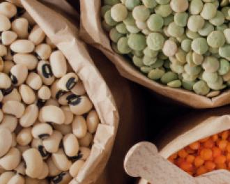 Diversidade alimentar segundo as culturas