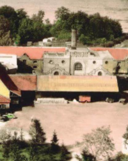 Η ιστορία ενός πρωτοπόρου στα τρόφιμα με βάση τα φυτά