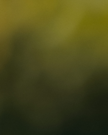 Bonduelle получава международния B Corp сертификат 