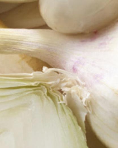 Pourquoi certains légumes sont-ils blancs comme neige ?