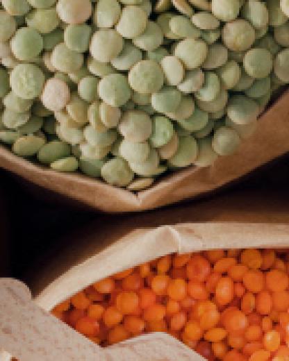 Diversidade alimentar segundo as culturas
