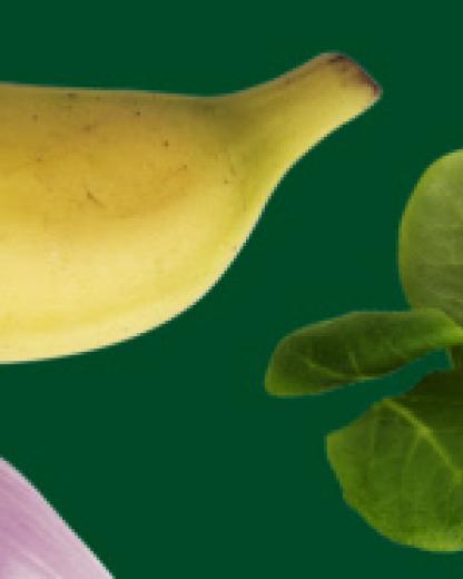 5 einfache Rezeptideen mit Feldsalat