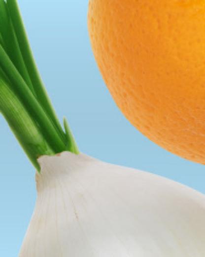 Perfekt organisiert, damit nichts mehr weggeworfen werden muss
