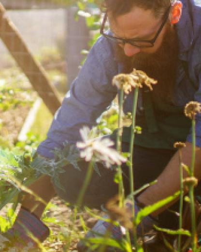 Conselhos e truques – Preparar a horta para a primavera