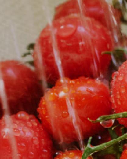 Verzehrfertige Gemüsekonserven und abgepackte Fertigsalate: Muss man Sie noch waschen?