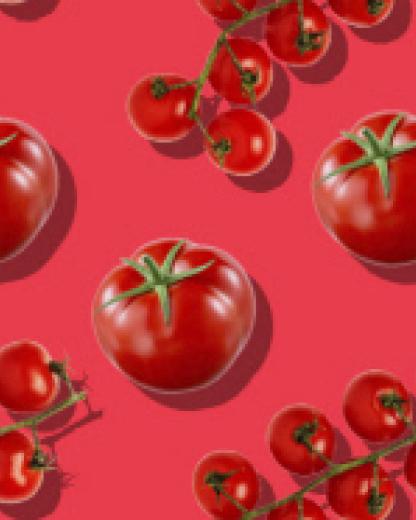 Las verduras, ¿en el frigorífico?