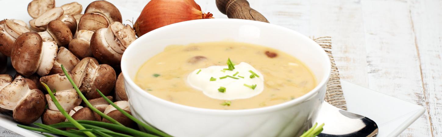 Sopas e cremes para o ano inteiro