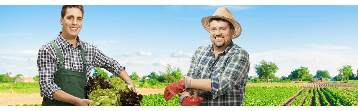 Unsere Salat-Bauern