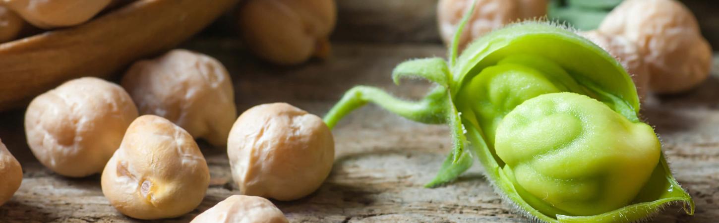 Gemüse in bester Bio-Qualität