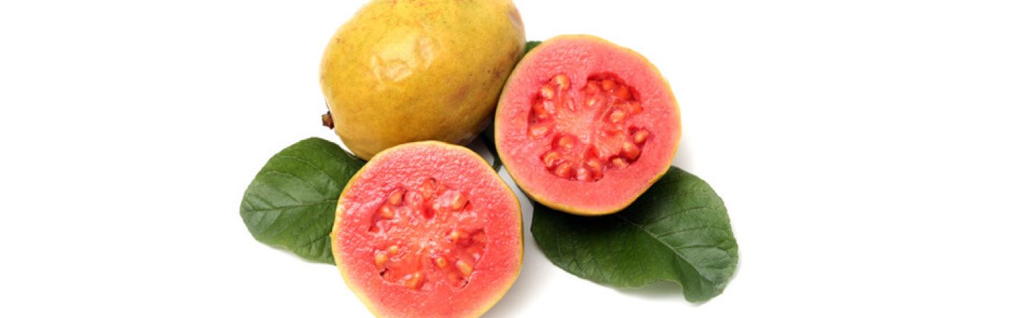 Guava