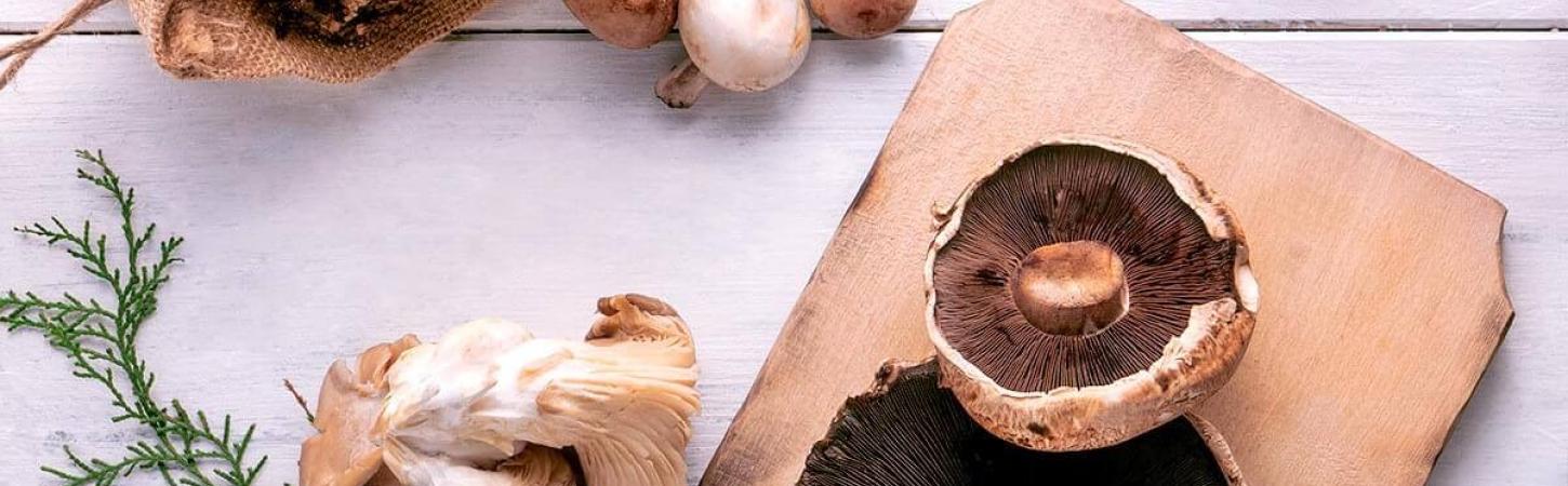 Ciupercile, proprietăți și valori nutritive