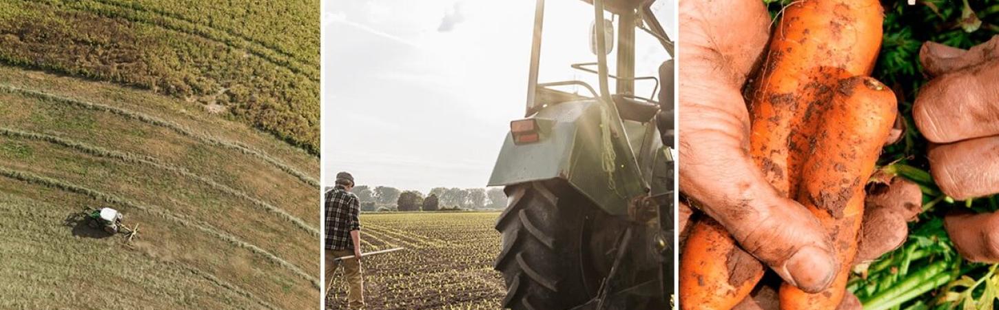 Ce înseamnă „fără pesticide”?