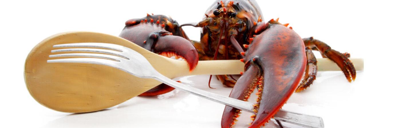 Cum se mănâncă homarii?
