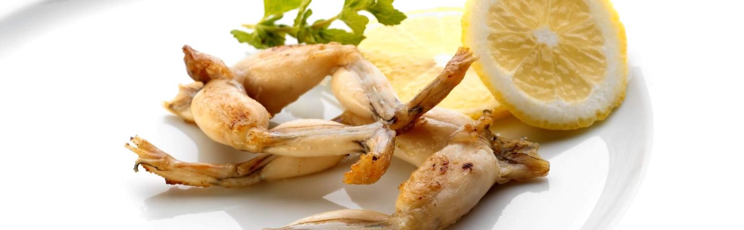 Cum se mănâncă pui de baltă?