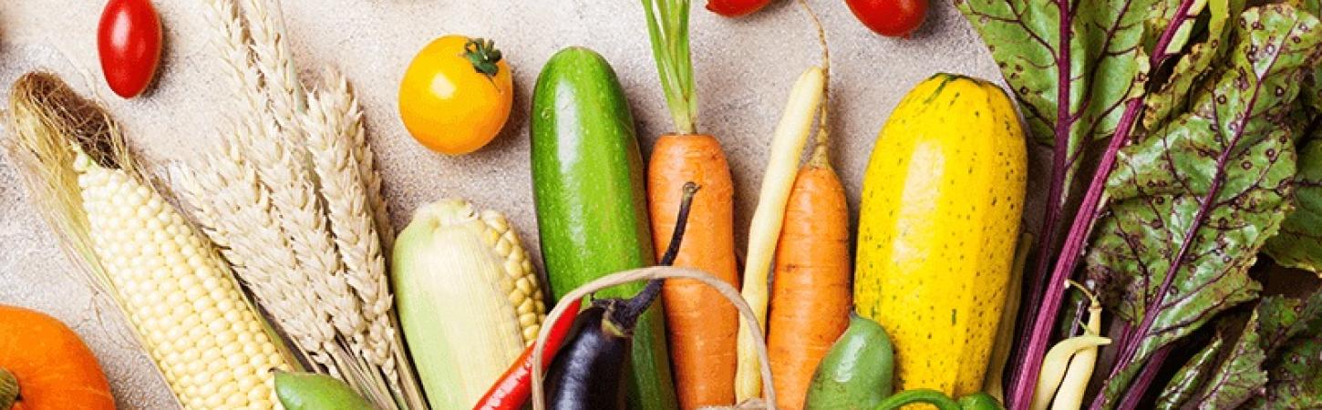 Dieta de toamnă – aportul optim de calorii