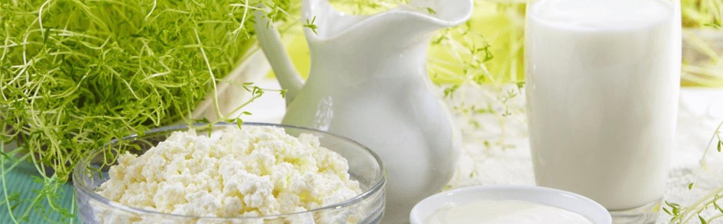 Calciu și Vitamina D în dieta de slăbire
