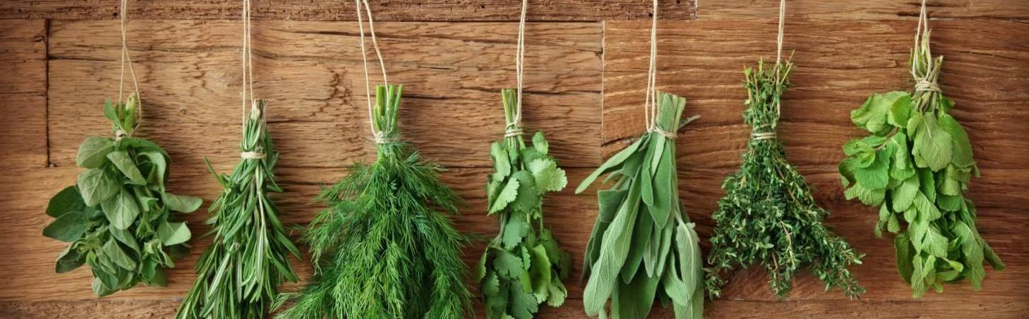 Pentru sănătate – plantele medicinale în bucătărie