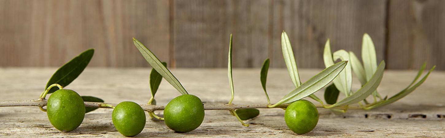 Gusturi mediteraneene: Bucătăria greacă dincolo de salata grecească