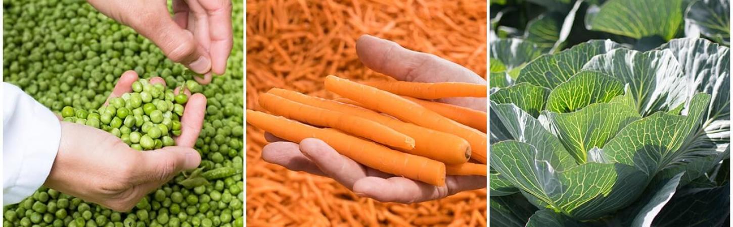 5 idei pentru a-i determina pe copii să mănânce legume