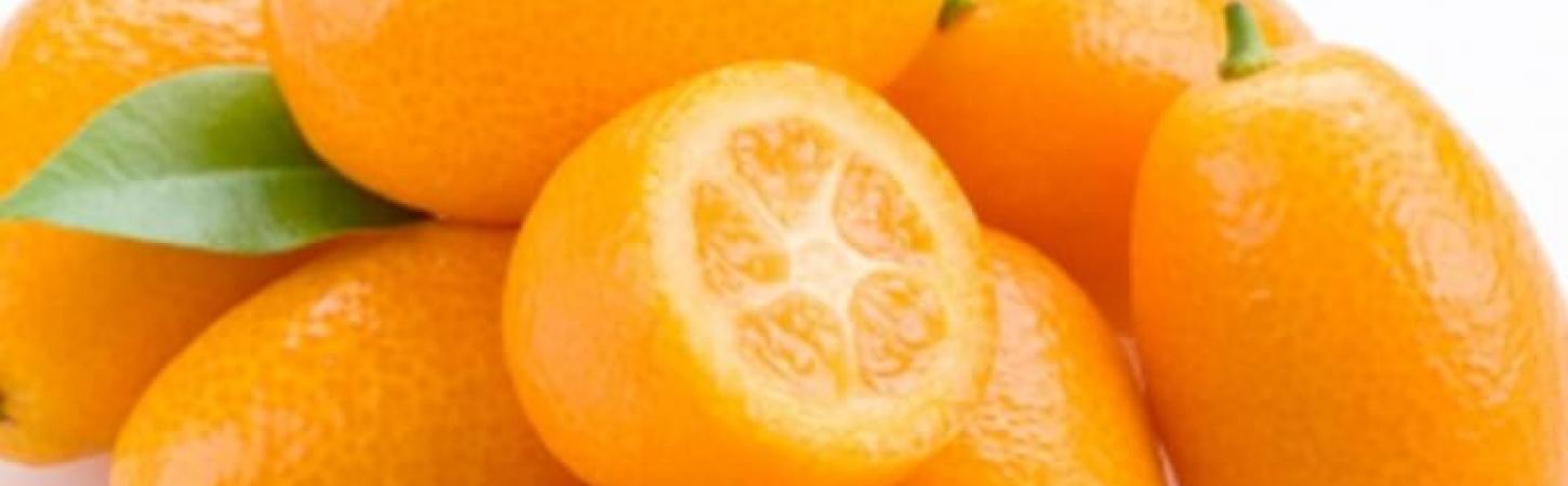 Кумкуат