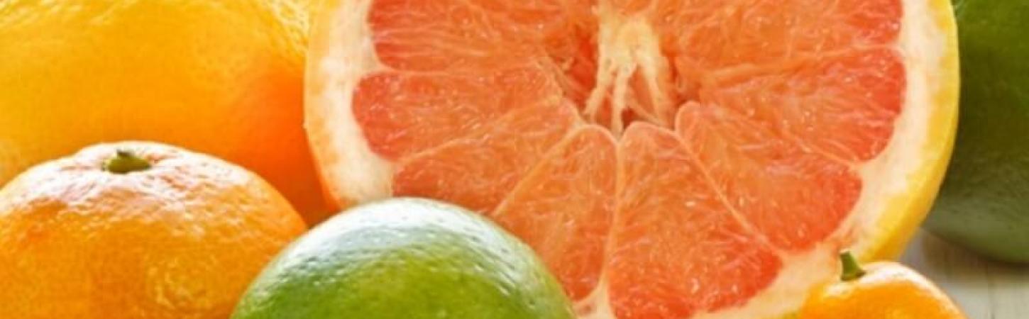 Citrus dijeta - predivno tijelo do karnevala