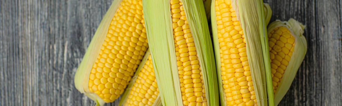 Maíz en conserva: todas las ventajas de comer maíz en lata