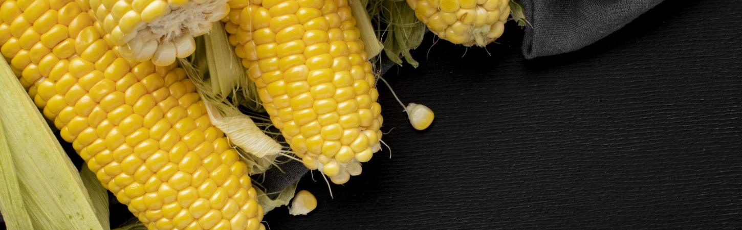 Maicena: la harina de fécula de maíz perfecta para los celíacos