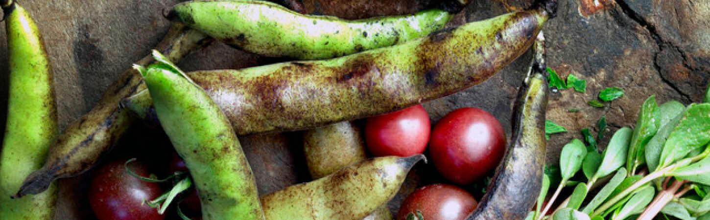 C’est quoi, une portion de légumes ?