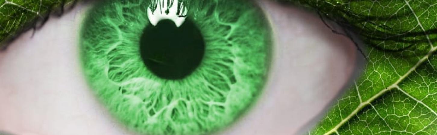 Захист зору – природні фільтри в овочах