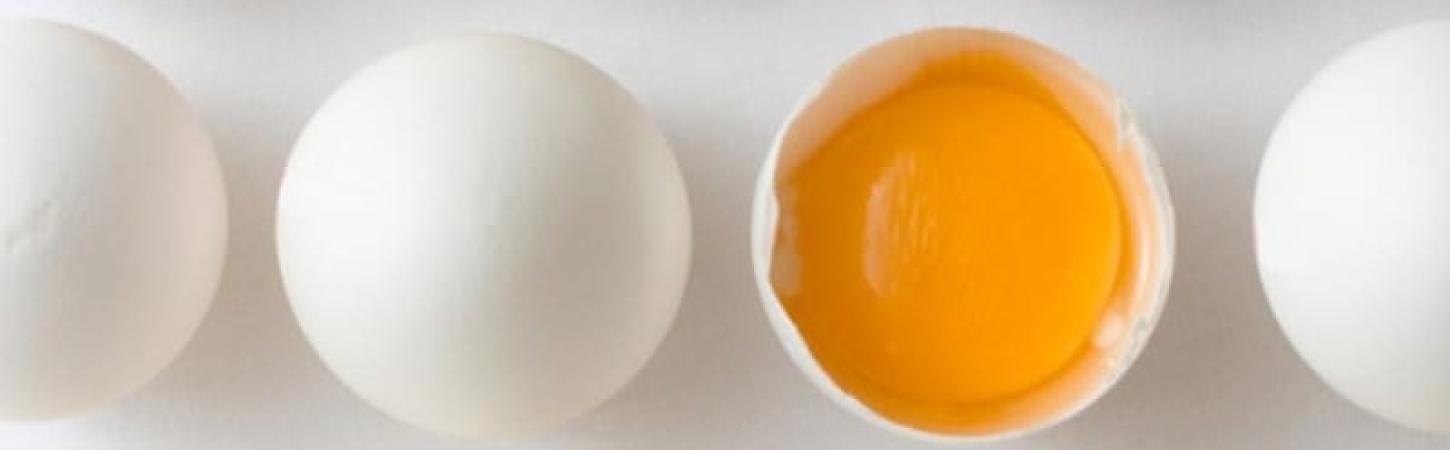 Дієта клініки Mayo