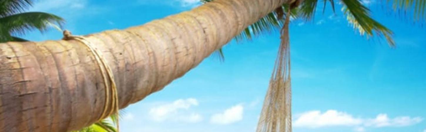 Дієта «Пляж Півдня»