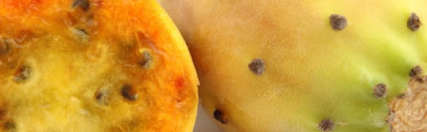 Фігова опунція – колючий фрукт для боротьби із зайвою вагою