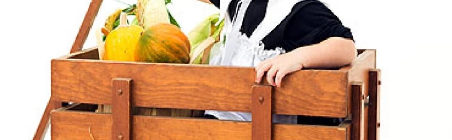 Гнучке використання початків кукурудзи